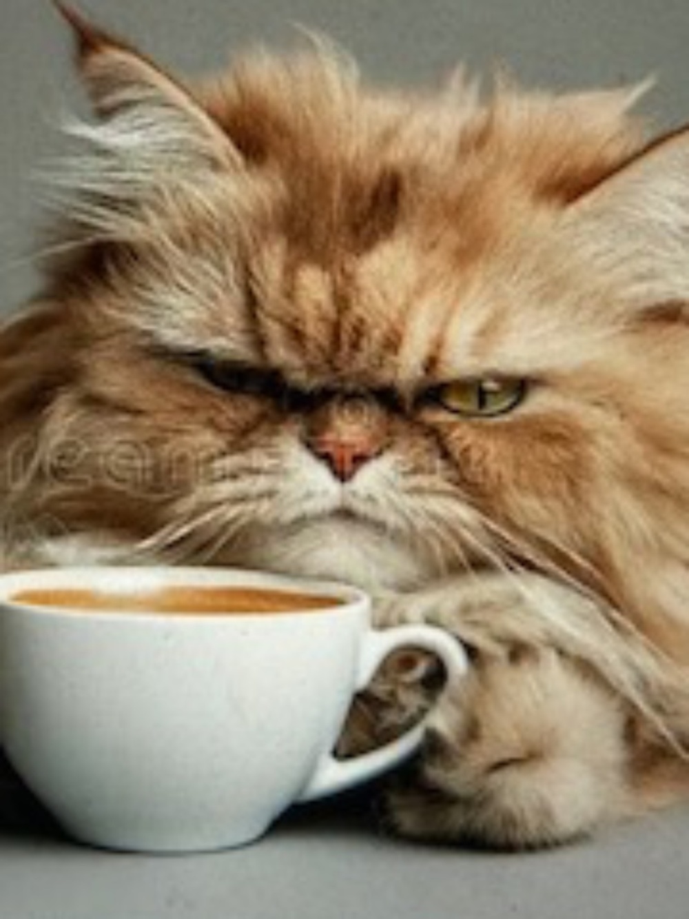 One sec, I just woke up!